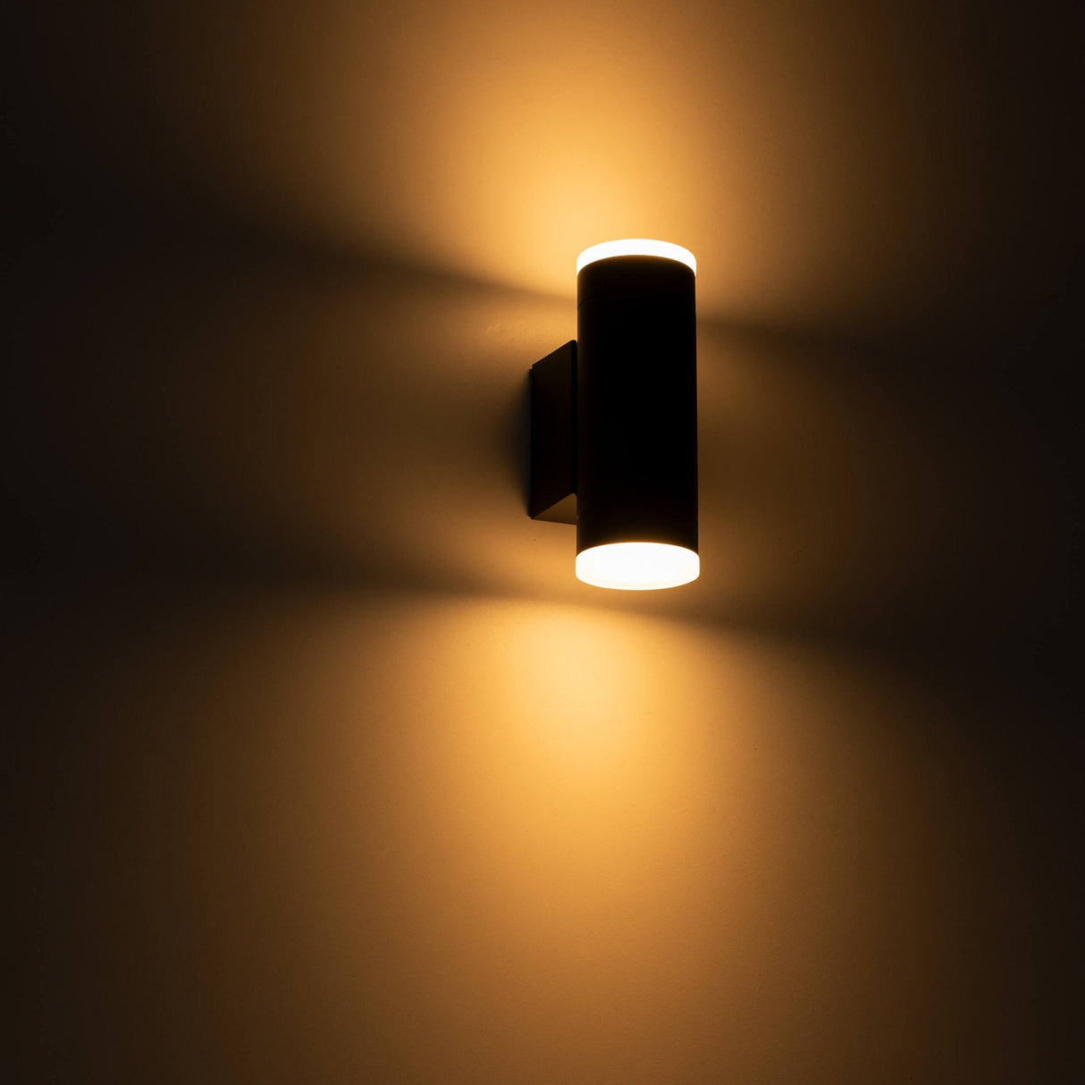 Double lampe extérieure AllWeather LED's Light - Éclairage vers le haut et vers le bas - IP44 - Anthracite