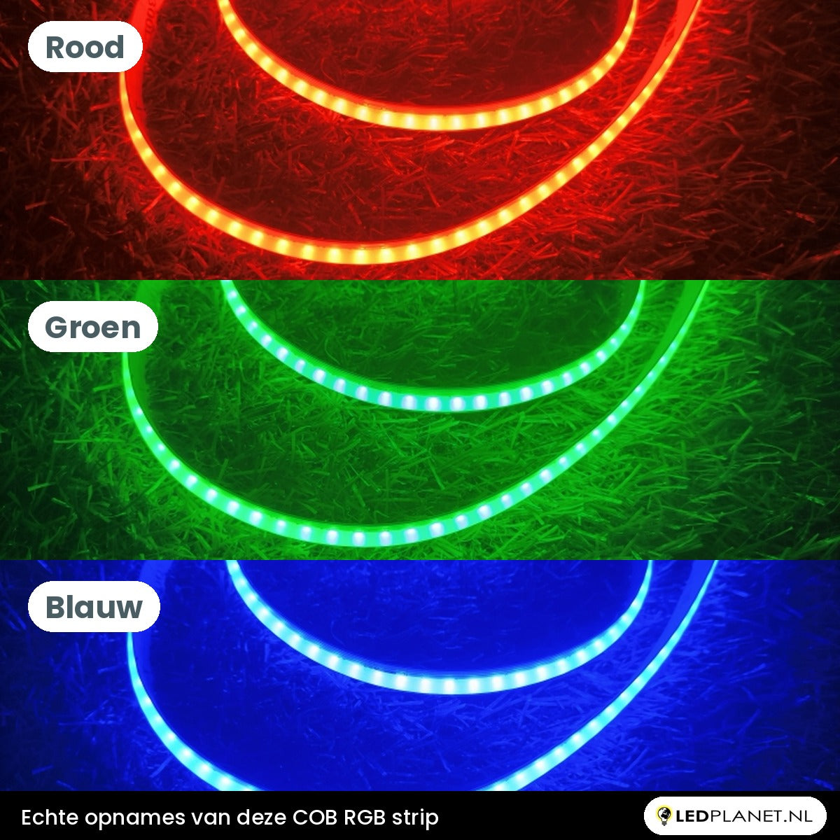 COB LED strip RGB brandend in rood, groen en blauw (echte opname)
