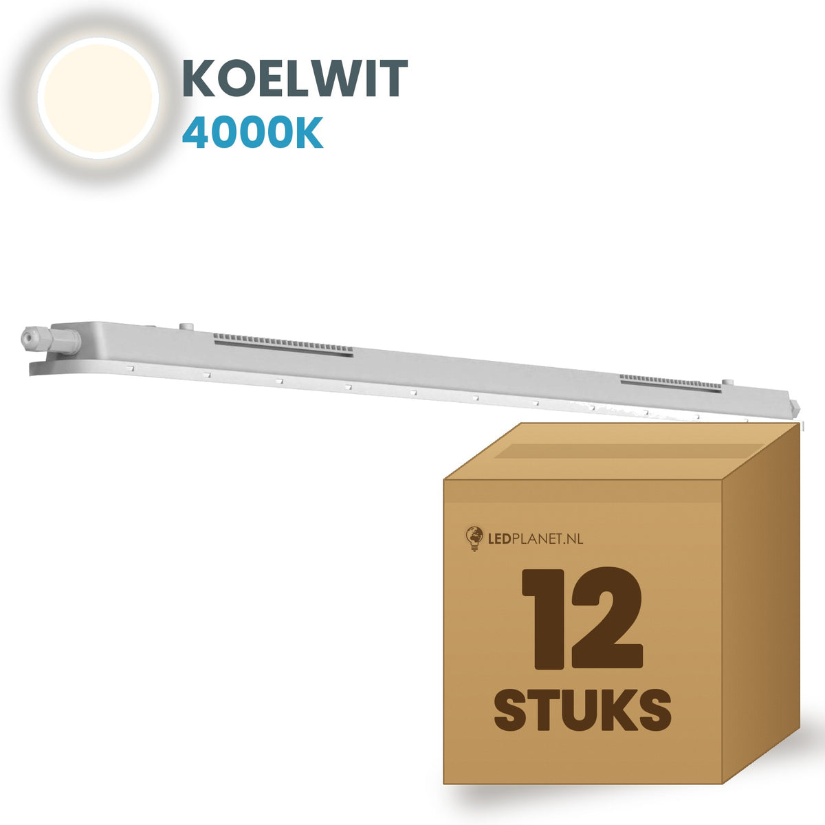Doos met 12 LED tri-proof armaturen 600mm koelwit 4000K