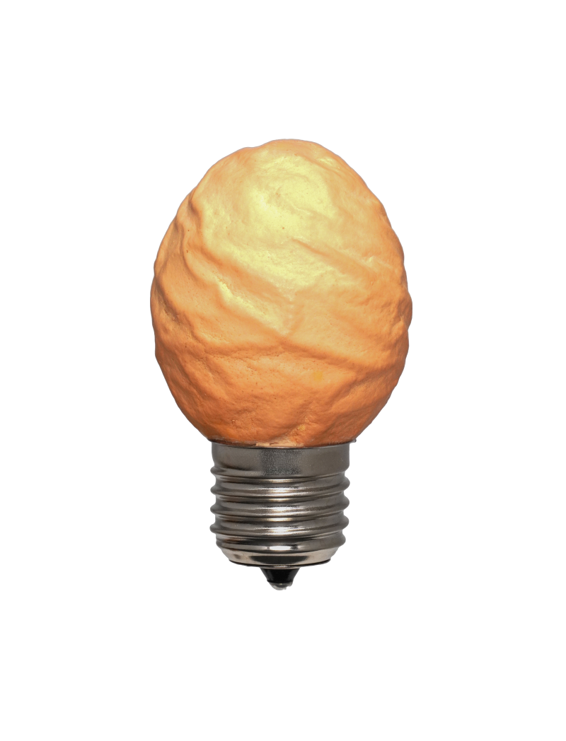 Special edition LED lamp in de vorm van een ei met warme gloed en E27 fitting
