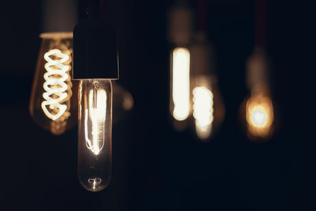 selective focus photography of bulbs