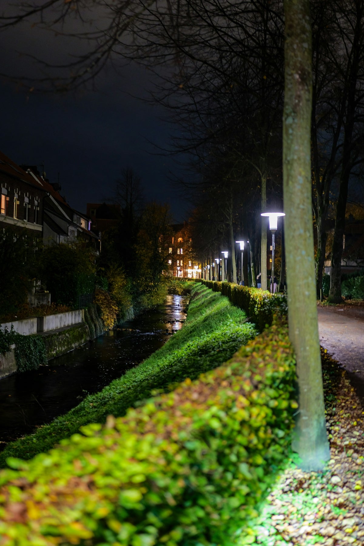 A tree-lined path beside a canal at night.
