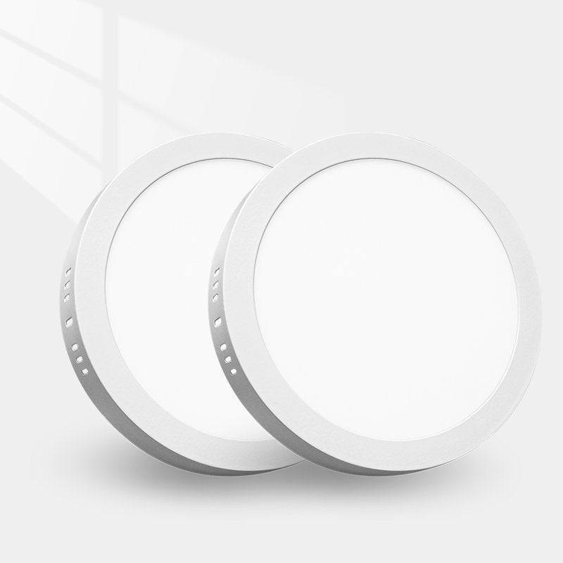 LED Opbouwpaneel rond Ø300mm 24W - Warmwit 3000K - 2040 lm - 120° - IP41 - CRI80 - 20 stuks - 230V