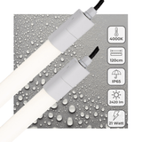 LED TL Armatuur 2420 lumen - 21W - Koelwit 4000K - 120cm - IP65 Waterdicht - IK06 - 2 stuks