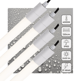 Luminaire LED TL 2420 lumens - 21W - Blanc froid 4000K - 120cm - IP65 étanche - IK06 - 4 pièces
