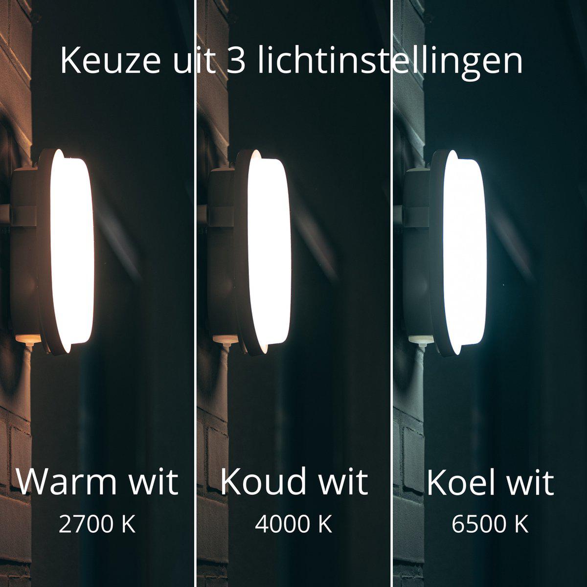 LED Wandarmatuur Bull Eye - 1000 lumen - 9W - CCT instelbaar 2700K/4000K/6500K - IP65 - IK10 - 3 lichtstanden