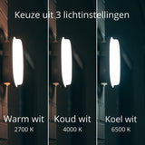 LED Wandarmatuur Bull Eye - 1000 lumen - 9W - CCT instelbaar 2700K/4000K/6500K - IP65 - IK10 - 3 lichtstanden