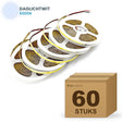 Doos met 60 rollen COB LED strip 24V daglichtwit 6000k