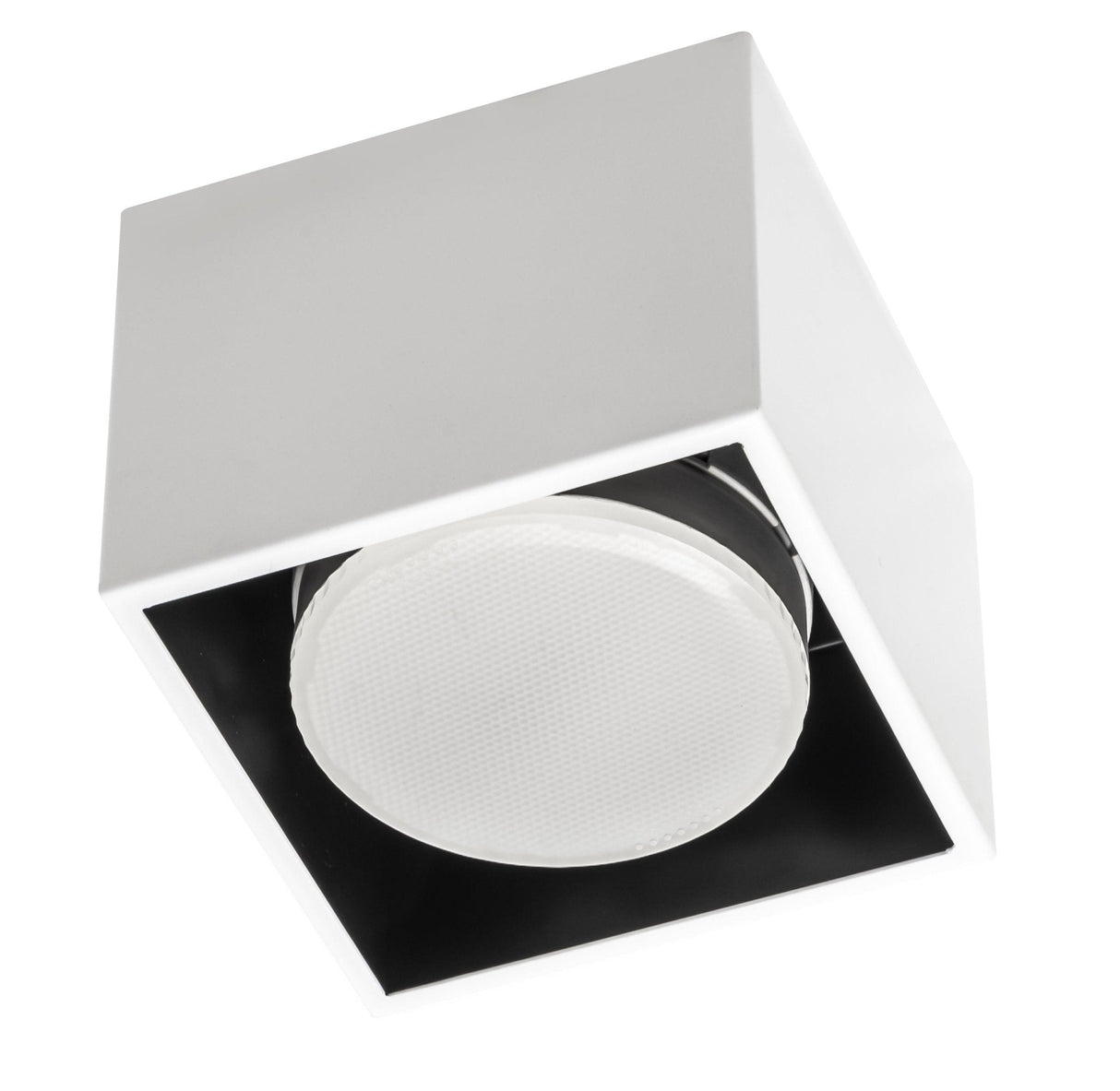 LED's Light Cube LED Plafondlamp - 1 lichtpunt - Draaibaar licht - Staal - 10 x 8 cm - Wit