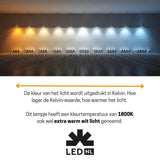 LED Filament Edison lamp - E27 - Extra warmwit 1800K - 250 lumen - 4W - Dimbaar - Goud glas - ST64 - 230V
