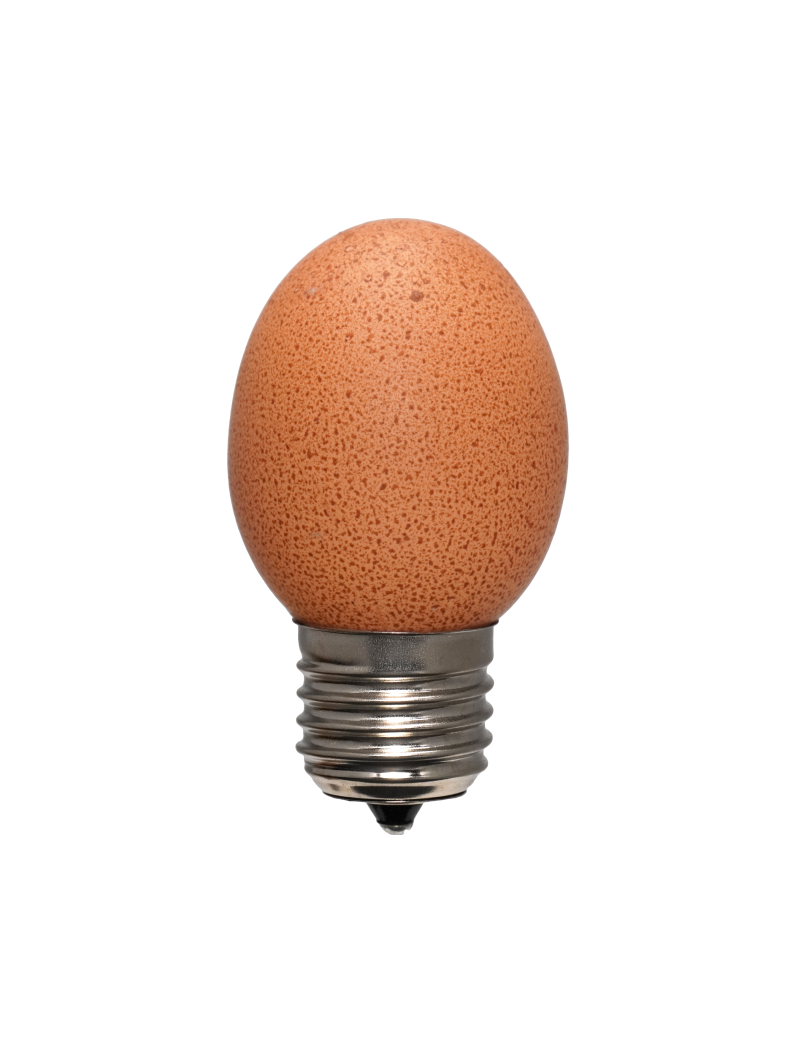 Egglamp bruin, E27 fitting, 300 lumen, 2700K, IP20, 1 stuk