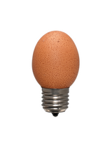 Egglamp bruin, E27 fitting, 300 lumen, 2700K, IP20, 1 stuk