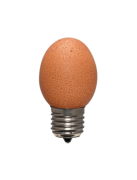 Egglamp bruin, E27 fitting, 300 lumen, 2700K, IP20, 1 stuk