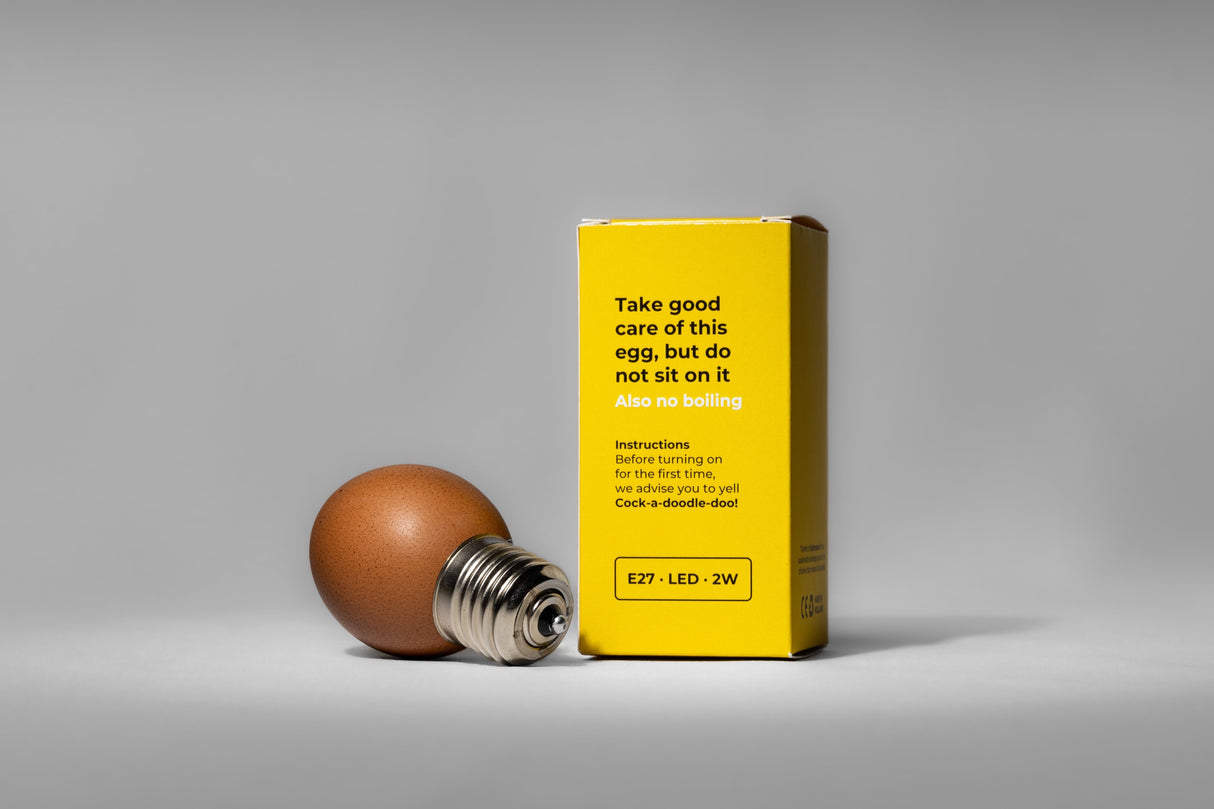 Egglamp bruin met E27 fitting, 2W LED, en instructies voor gebruik