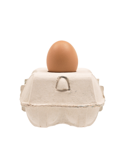 EggboxLAMP Classic LED lamp met uniek eivormig ontwerp in een ei-doos