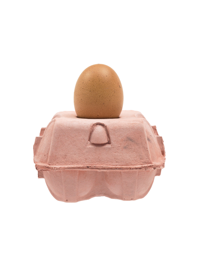 EggboxLAMP Rosé avec un œuf sur une boîte à œufs rose, parfaite pour tout intérieur