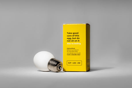 Lampe œuf blanche LED E27 2 W avec instructions, adaptée à l’éclairage décoratif