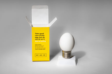 Lampe œuf blanche LED E27 2 W avec instructions, en forme d’œuf et au design moderne