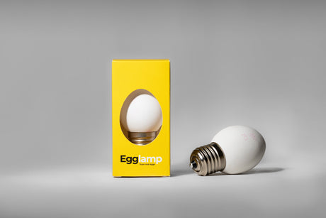 Lampe œuf blanche LED, culot E27, 800 lumens, 3000 K, IP20, 1 pièce par emballage