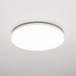 Industrial Waterdichte LED Plafondlamp ø 33 cm - Voor Binnen & Buiten - Koel wit
