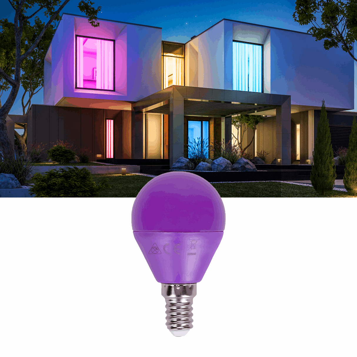 Kogellamp E14 paars | kleine fitting LED lamp 4W=30W gloeilamp | 230V - LEDPLANET.NL