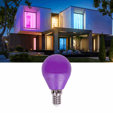 Kogellamp E14 paars | kleine fitting LED lamp 4W=30W gloeilamp | 230V - LEDPLANET.NL