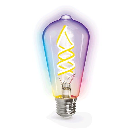 Kooldraadlamp E27 4.9W WiFi + Bluetooth RGB + CCT | Smartlamp ST64 - warmwit - daglichtwit - RGB LED ~ 420 Lumen - helder glas - 230 Volt - LEDPLANET.NL