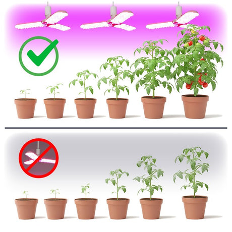 LED Kweeklamp 100cm 3000lm 6000K IP20 met efficiënte groei voor planten