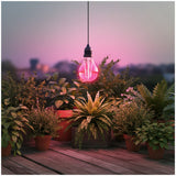 LED Kweeklamp E27 8W 250lm - Groei & Bloei - 360° Rondom - IP20 - 230V