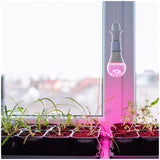 LED Kweeklamp E27 11W 285lm - Groei & Bloei - 180° - Klassieke Vorm - IP20 - 230V