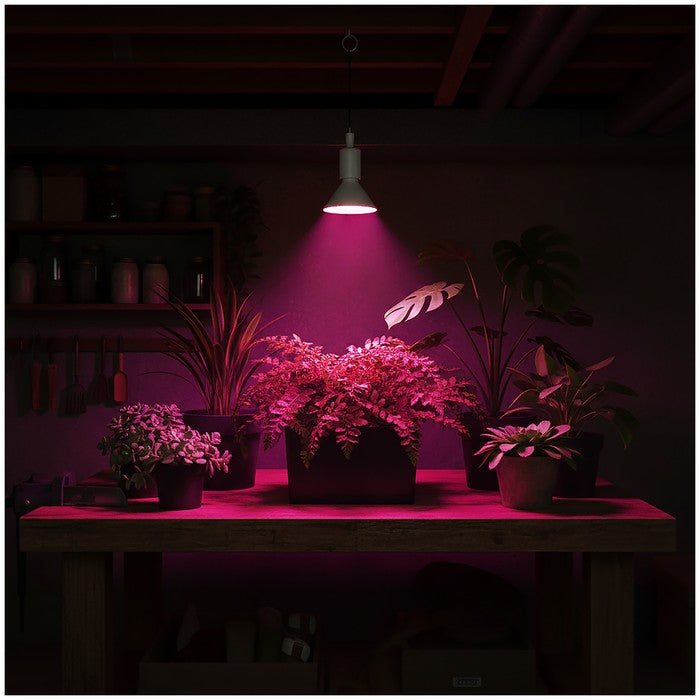 LED Kweeklamp E27 9W 300lm - Groei & Bloei - 38° Gericht - Wit - IP20 - 230V