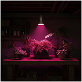 LED Kweeklamp E27 9W 300lm - Groei & Bloei - 38° Gericht - Wit - IP20 - 230V