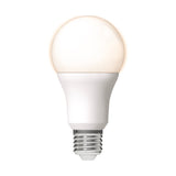 LED lamp E27 warmwit 2700K - 13W 1521 lumen - A60 mat opaal