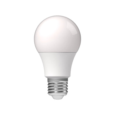 LED lamp E27 warmwit 2700K - 2.5W 250 lumen - mat glas - vervangt 25W