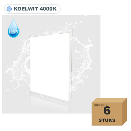 6 pièces dalle LED 62x62 IP65 étanche, 40W, blanc froid 4000K, en carton