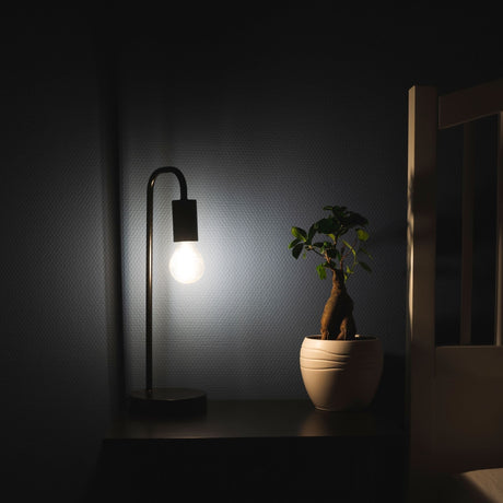 Ampoule LED à filament dimmable - culot E27 - lumière blanc chaud dimmable - Classique