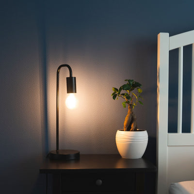 Dimbare LED filament lamp - E27 fitting - Dimbaar warm wit licht - Classic