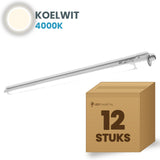 Doos met 12 LED tri-proof armaturen 600mm koelwit 4000K