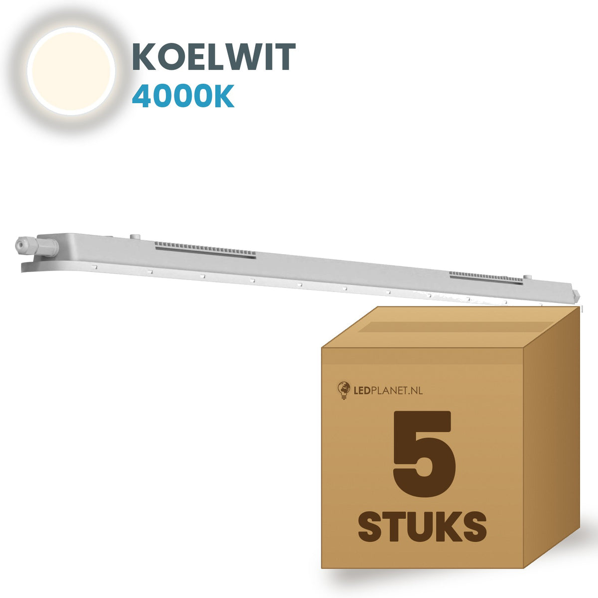 Doos met 5 LED tri-proof armaturen 600mm koelwit 4000K