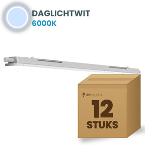 Doos met 12 LED tri-proof armaturen 600mm daglichtwit 6000K
