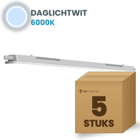 Doos met 5 LED tri-proof armaturen 600mm daglichtwit 6000K