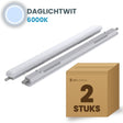 Doos met 2 LED tri-proof armaturen 1200mm daglichtwit 6000K
