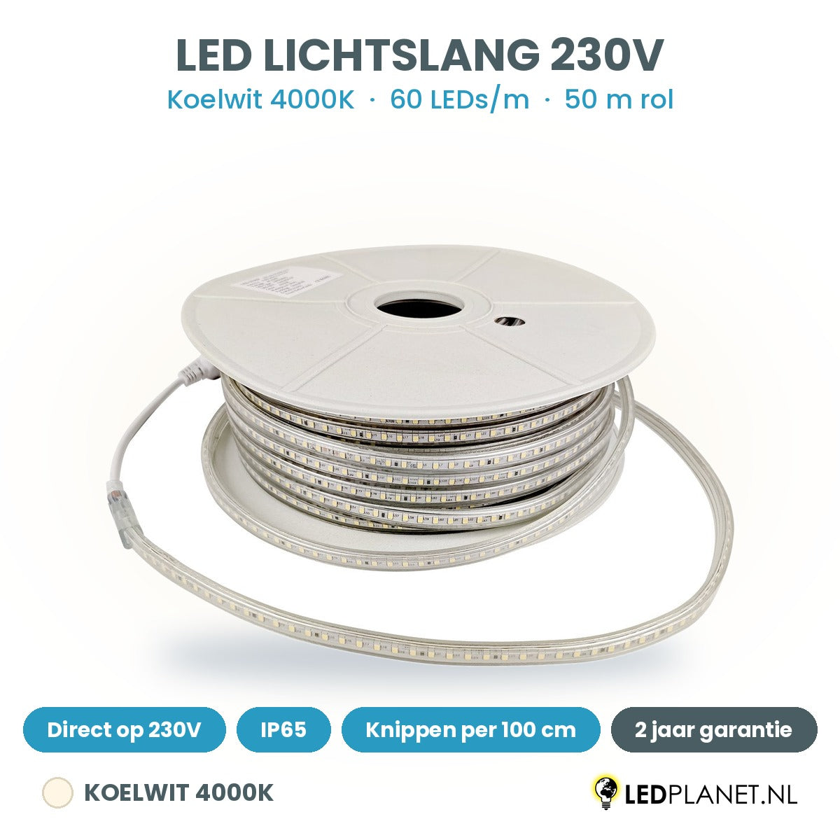 LED lichtslang 230V koelwit 4000K, 60 LEDs per meter, rol van 50 meter, IP65, per 100 cm te knippen