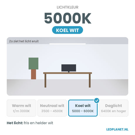 Lichtkleur 5000K - koel wit