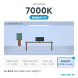 Lichtkleur 7000K - daglicht