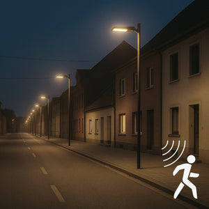 Solar LED straatverlichting koelwit 4000K met bewegingssensor - 3000 lumen - IP65 waterdicht