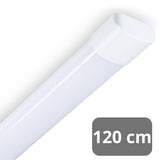 LED TL-armatuur 120cm - 4650 Lumen - 36W - Koelwit 4000K - IP40 - 230V - 2 stuks