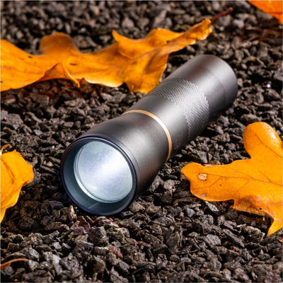 Lampe torche LED LED's Work à piles (3x AAA) - 450 lumens - Résistante aux projections d'eau IPX4 - Variable sur 3 niveaux