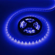 LEDstrip blauw | 12V DC - 4,8W - 60 LED's/m | binnenshuis IP20 | 3 meter | dimbaar - LEDPLANET.NL