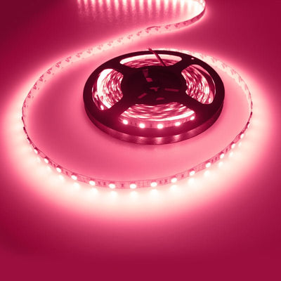 LEDstrip roze, 12V DC, 14,4W, 60 LED's/m, binnenshuis IP20, 5 meter, dimbaar